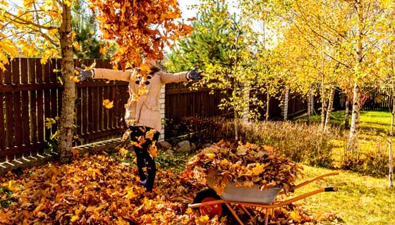 spelen met blad in de tuin