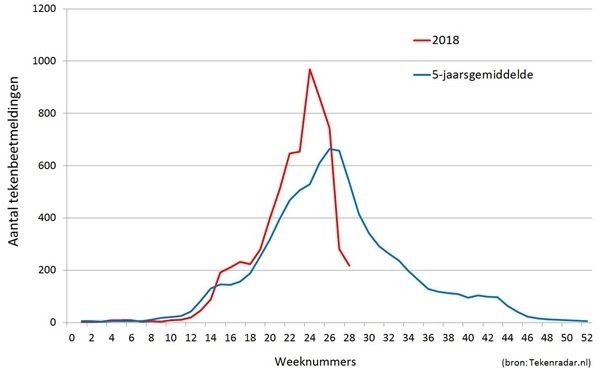 RIVM: 'Minder Tekenbeten Door Droogte' | Gezondheidsnet