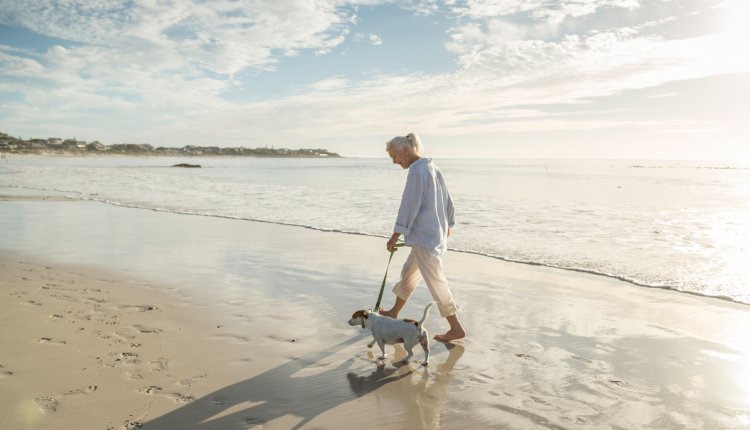 wandelen op het strand met de hond