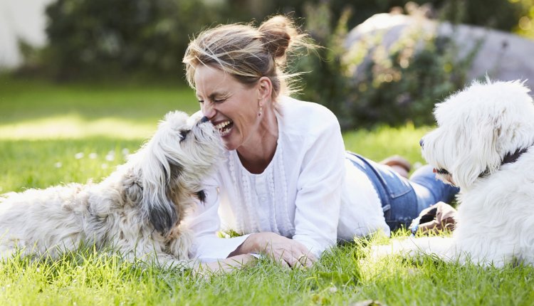 blije vrouw met honden