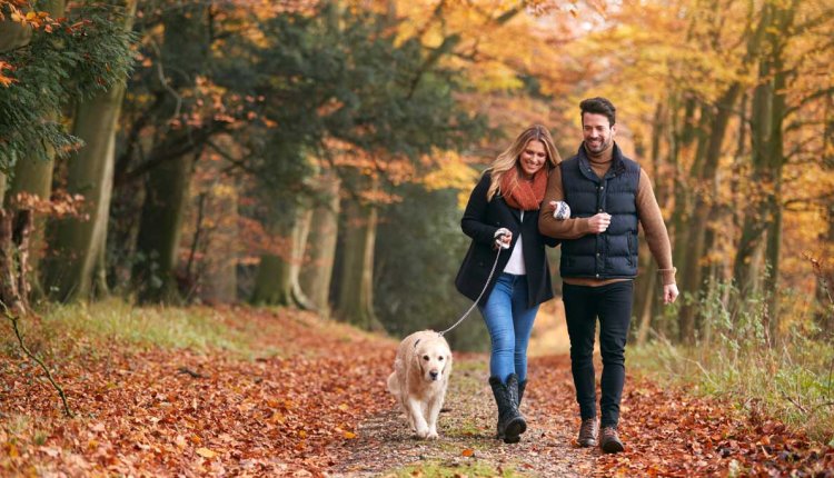 stel wandelt met hond in de herfst in bos