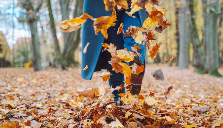 vrouw in bos in de herfst