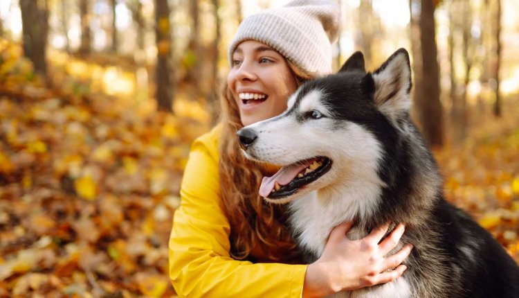 Vrouw in de herfst met husky in het bos