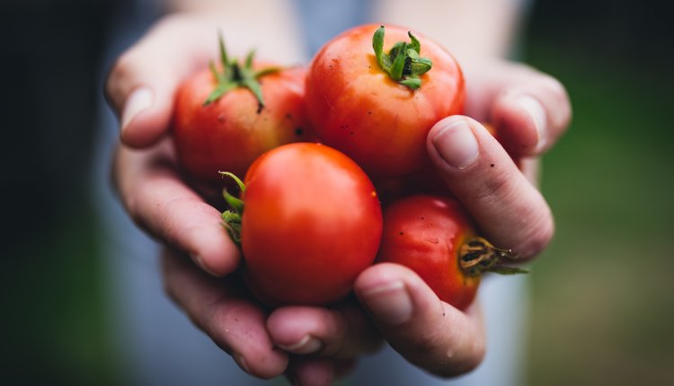 tomaten-prostaatkanker