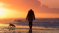 Lekker wandelen op het strand met de hond