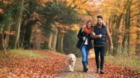 stel wandelt met hond in de herfst in bos