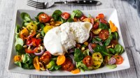 Een salade met burrata als topping