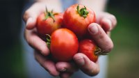 tomaten-prostaatkanker