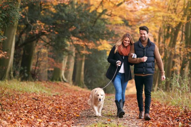 stel wandelt met hond in de herfst in bos