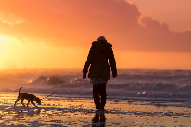 Lekker wandelen op het strand met de hond